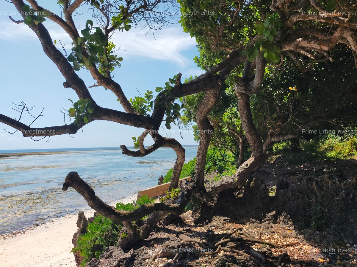 73.6 ac Land at Vipingo Kuruwitu Beach - 16