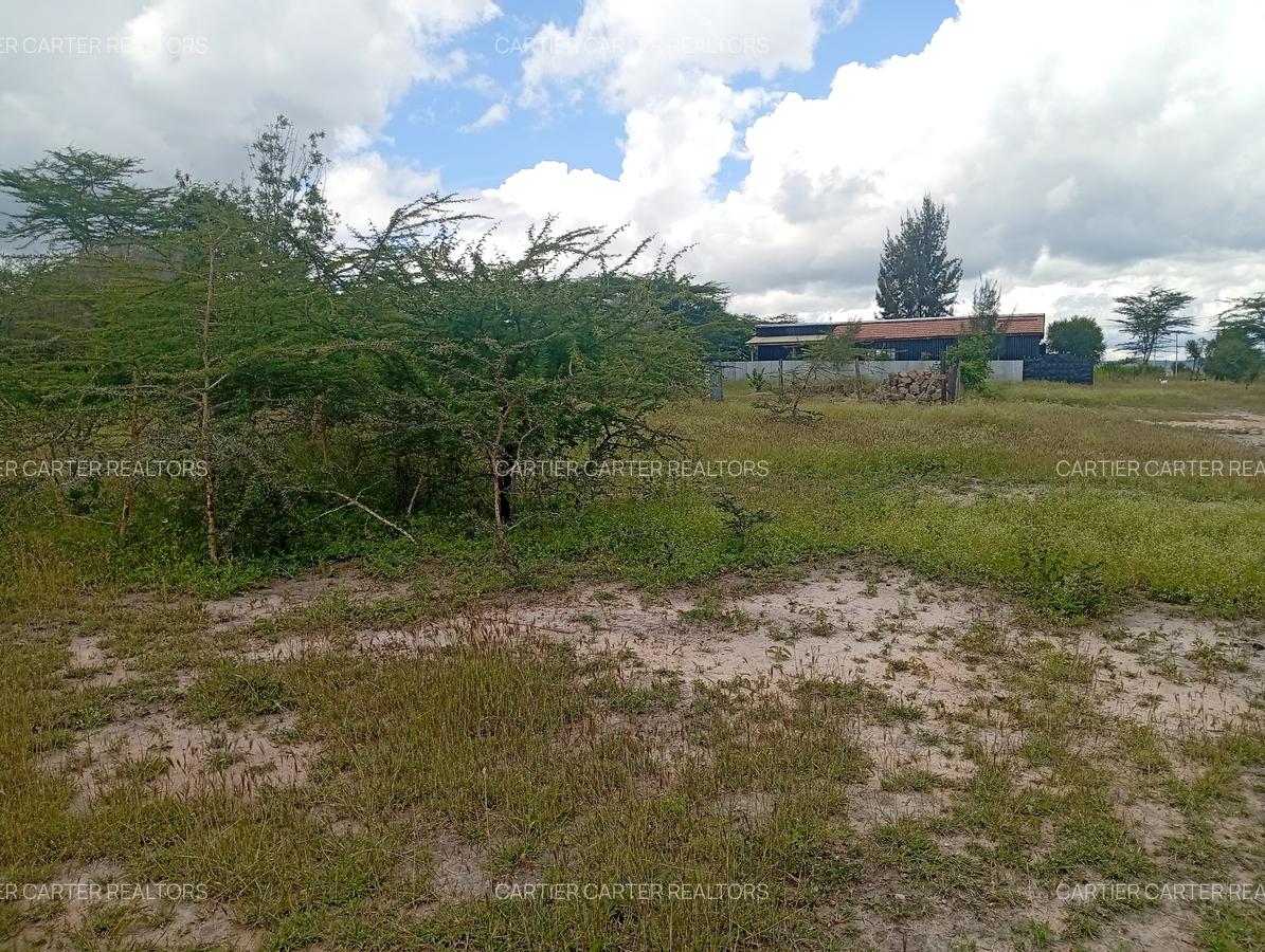 0.125 ac Land at Kyumvi Junction - 9