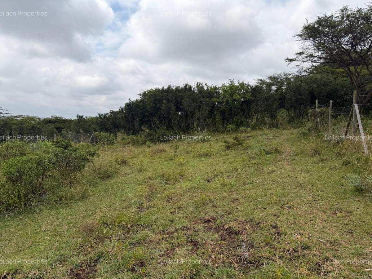 0.0113 ac Land in Ngong - 9