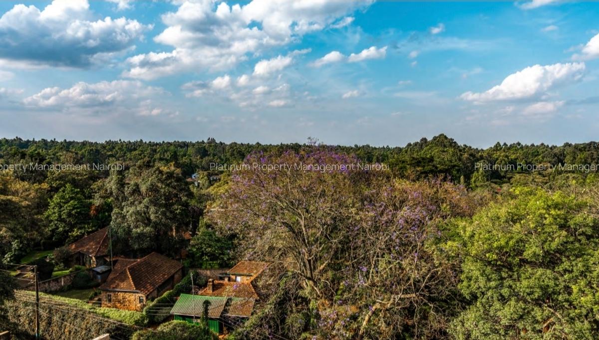 4 Bed Apartment with En Suite at Off Peponi Rd - 8