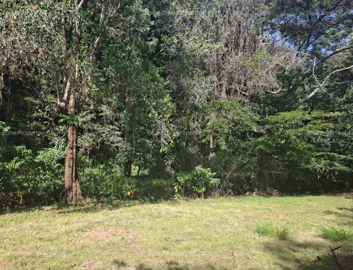 0.75 ac Residential Land at Off Naivasha Avenue - 7