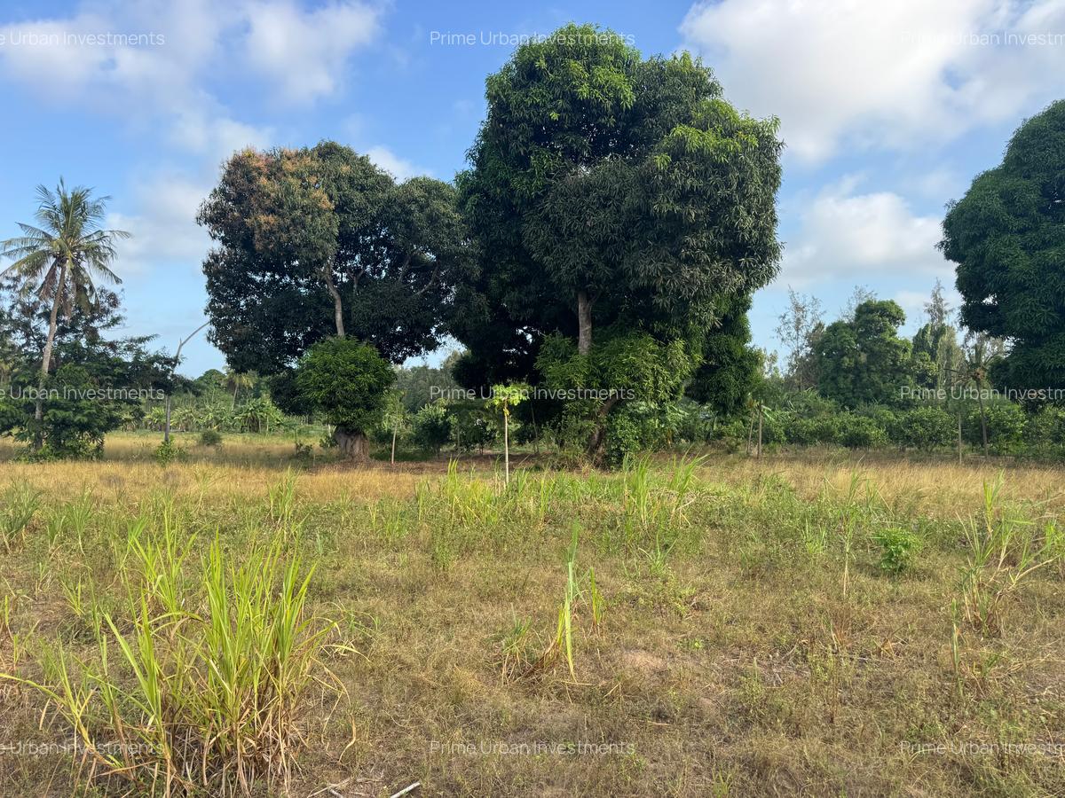 30 ac Land at Kikambala Bomani - 1
