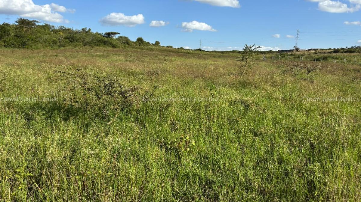 Land in Juja - 12