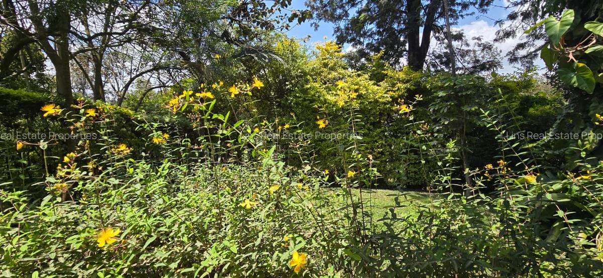 4 Bed Townhouse with En Suite in Spring Valley - 2