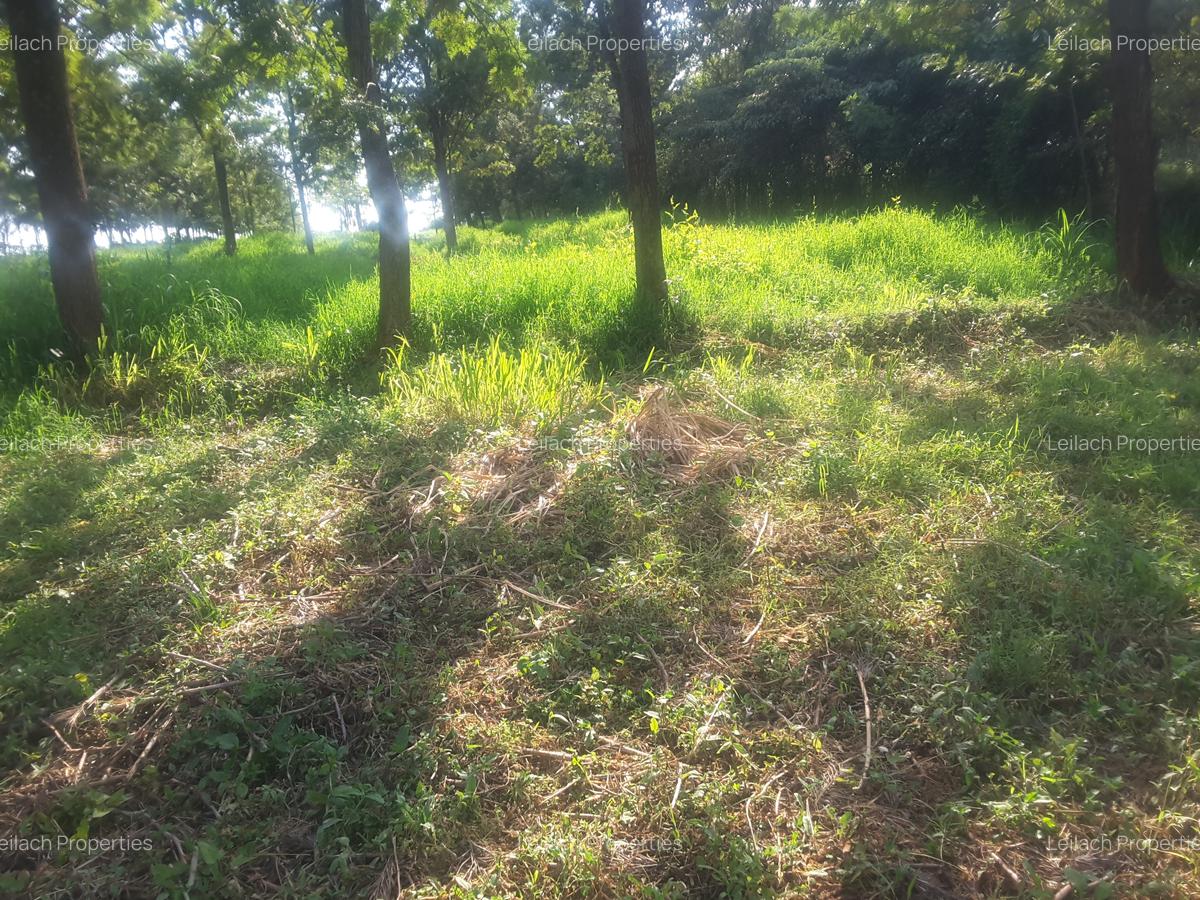 1.2 ac Land in Ngong - 14