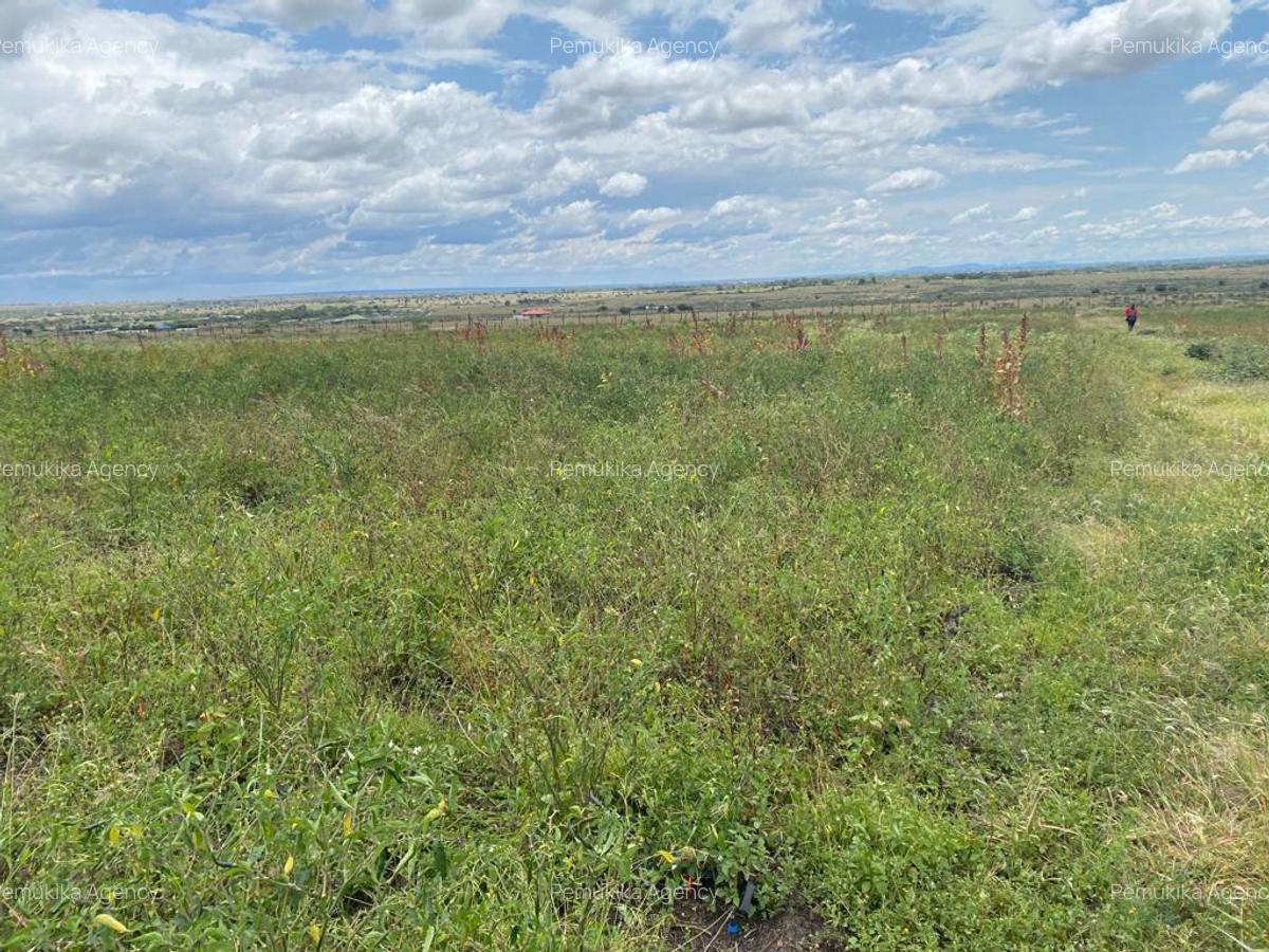 Commercial Land at Kitengera - 9