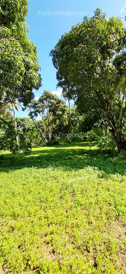 Land at Mtwapa - 12