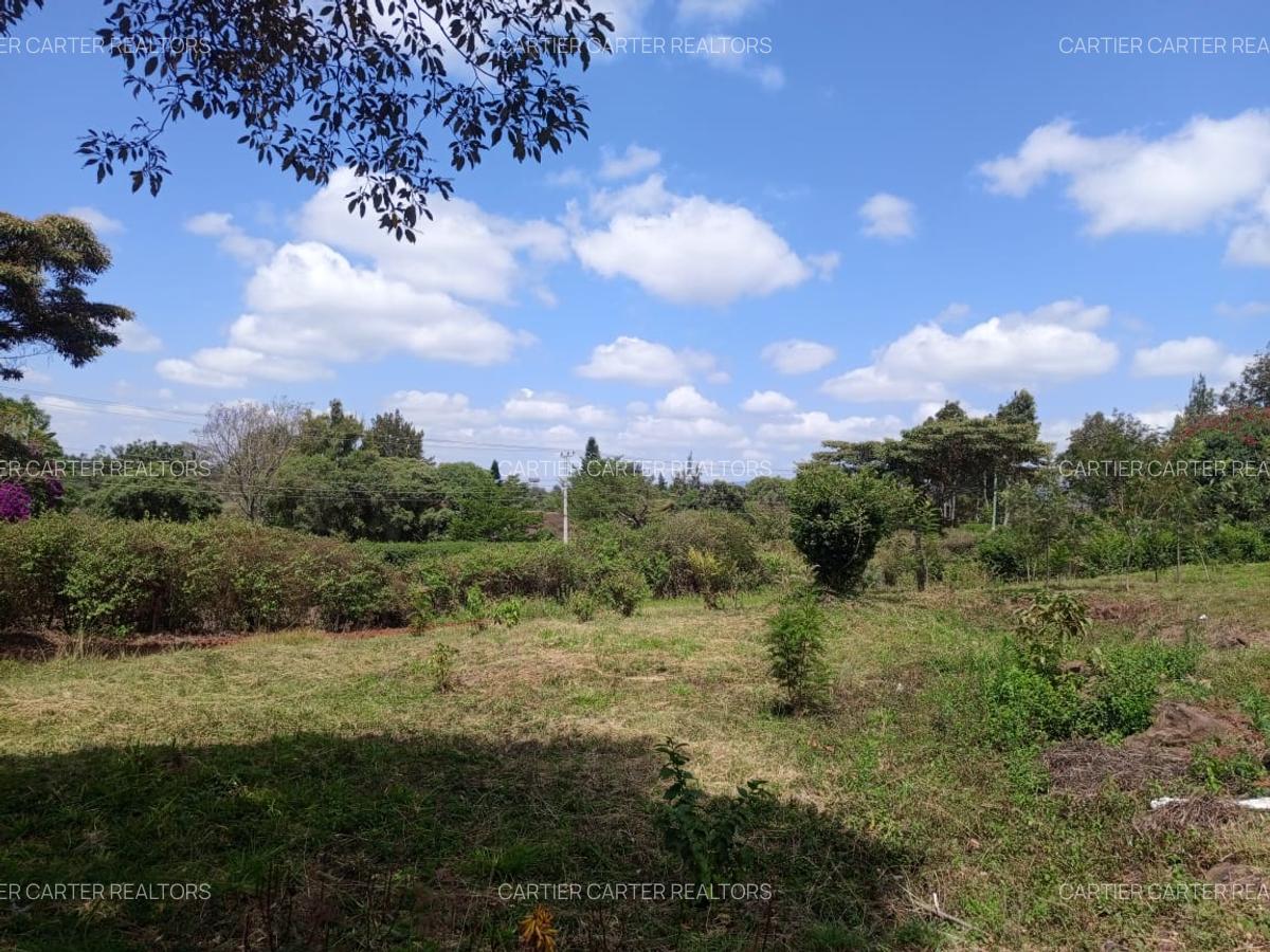 Land in Karen - 1