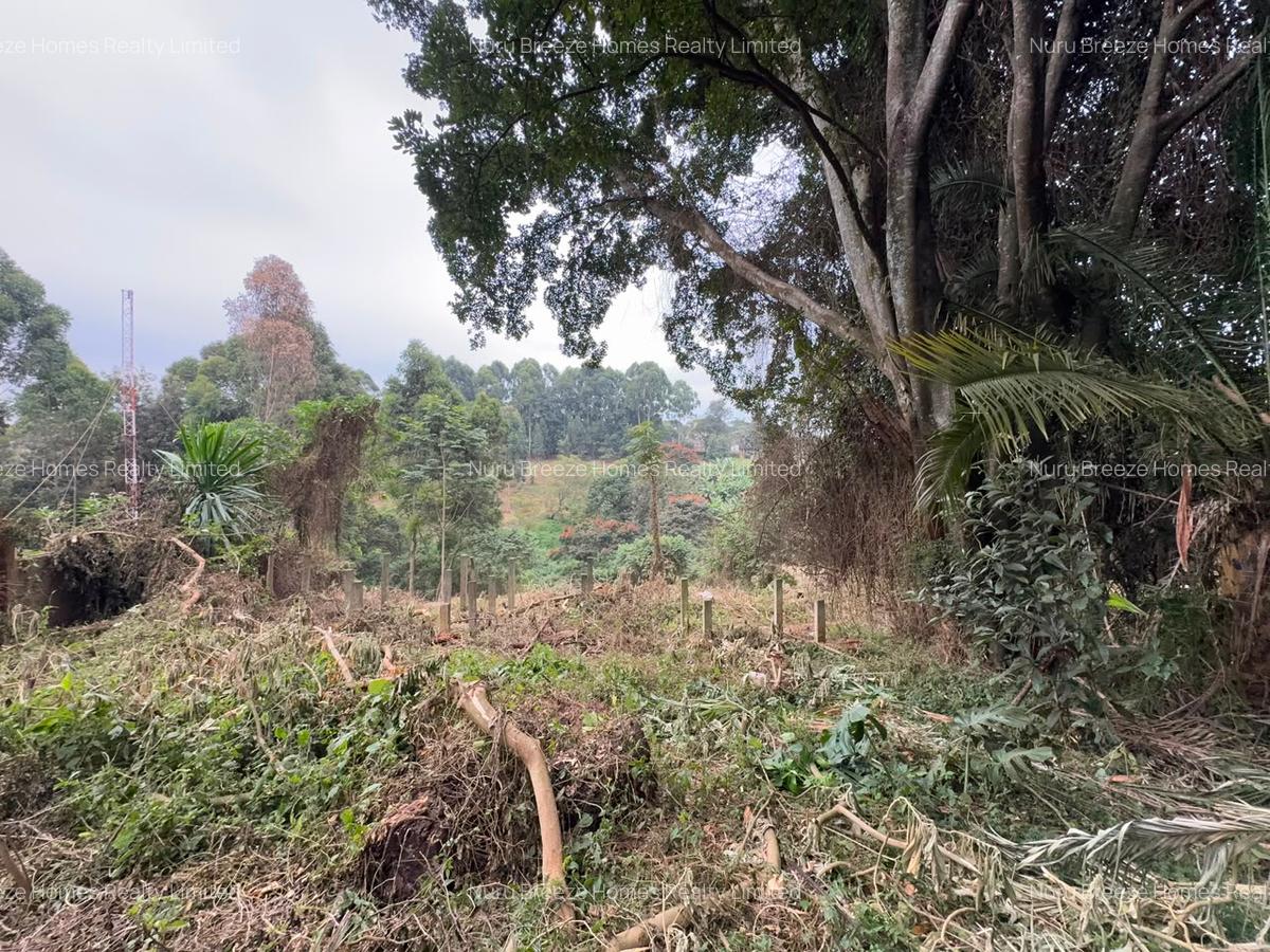 1 ac Land in Kitisuru - 12