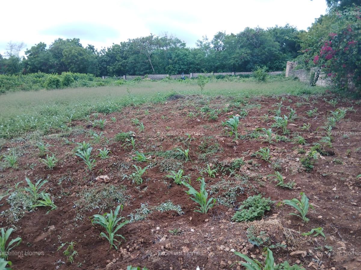 Land at Kikambala - 4
