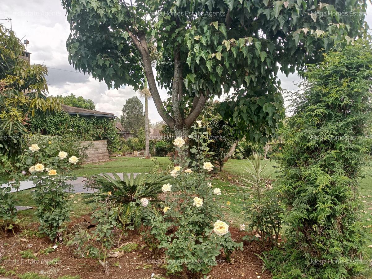 5 Bed House with En Suite in Nyari - 14