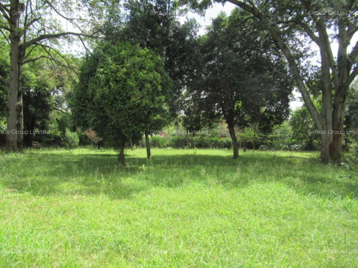 Land at Koitobos Rd - 1