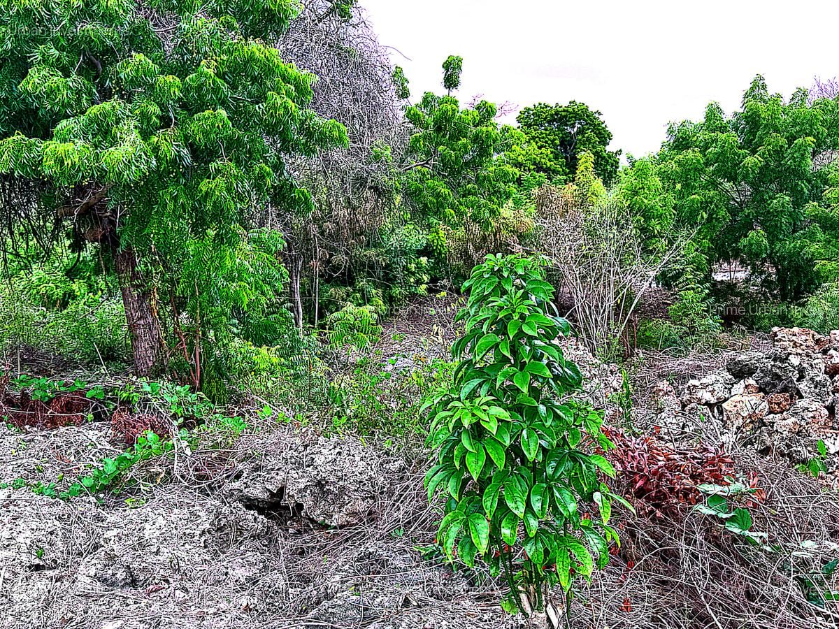 2,010 m² Residential Land at Second Row Kuruwitu Beach - 3