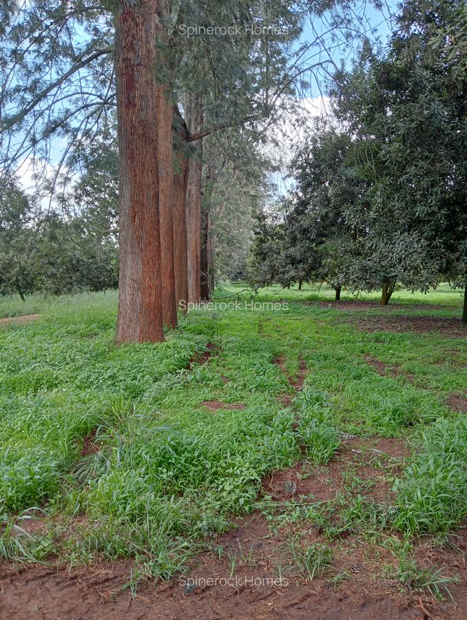0.125 ac Land at Thika Grove Chania-Opposite Blue Post Hotel - 5