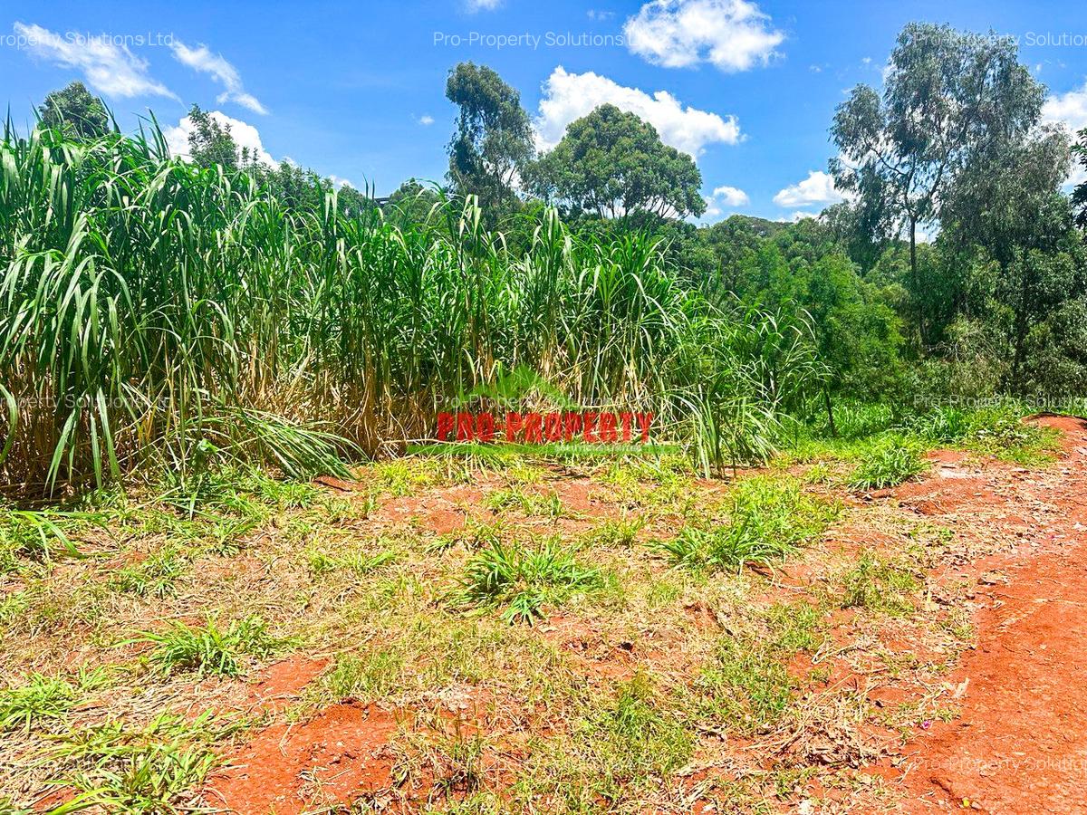 0.1 ha Commercial Land at Mwimuto - 6