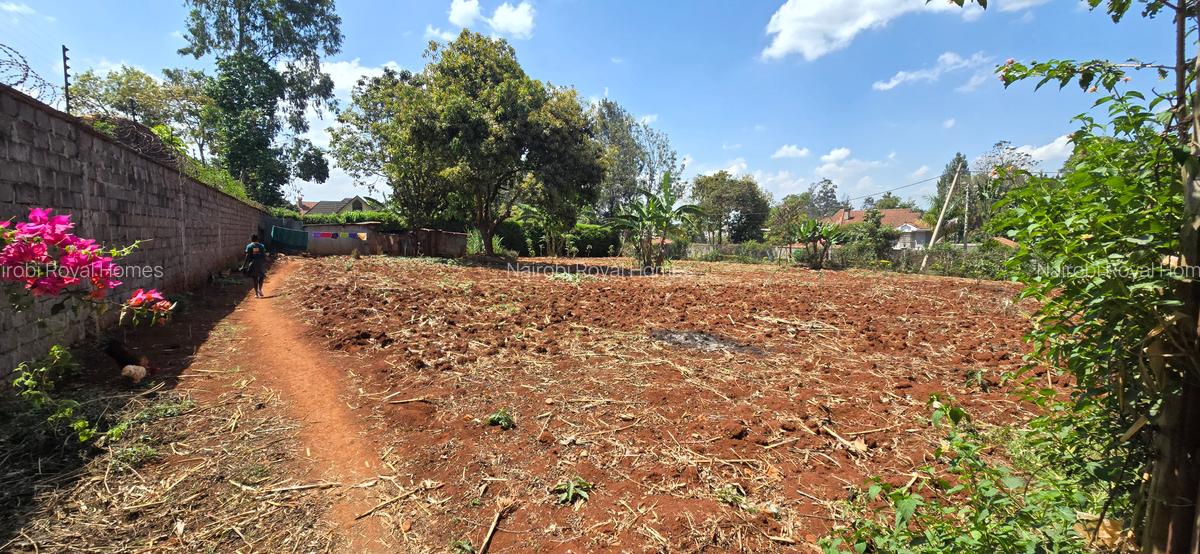 Residential Land at Runda Road - 13