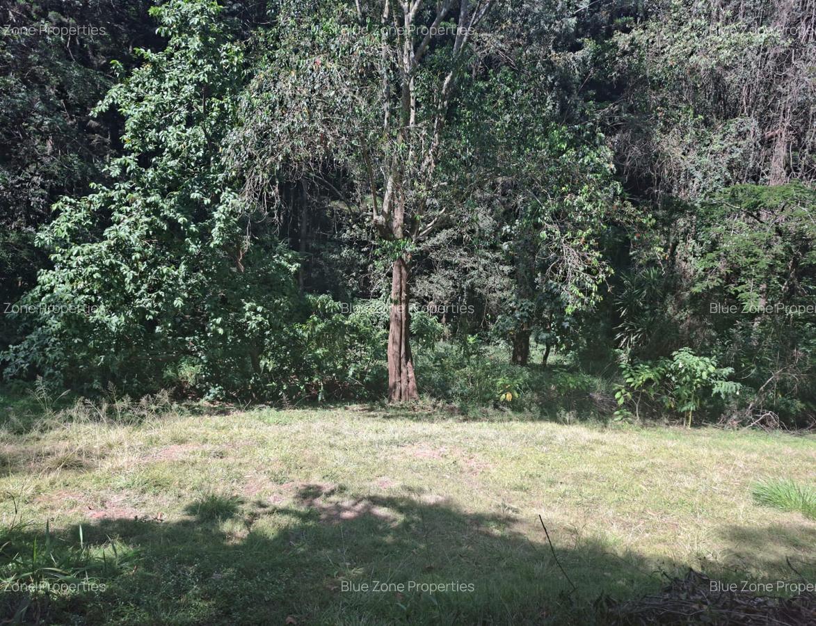 0.75 ac Residential Land at Off Naivasha Avenue - 2