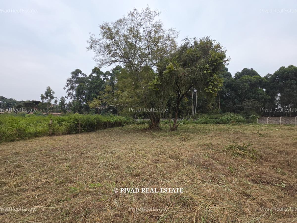 0.5 ac Land in Garden Estate - 3