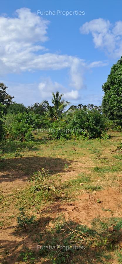Land at Tiwi Near Diani South Coast - 19