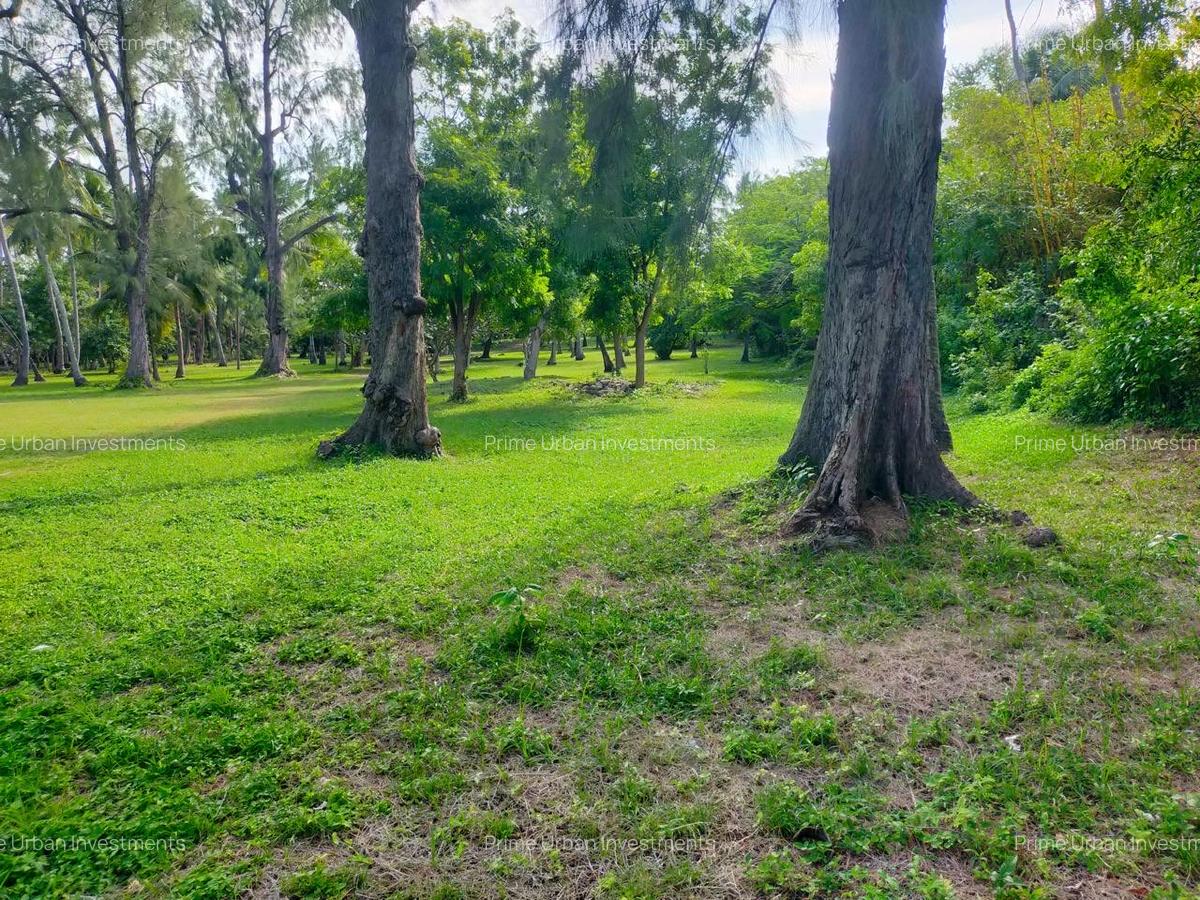 3.9 ac Land at Kikambala Beach - 4