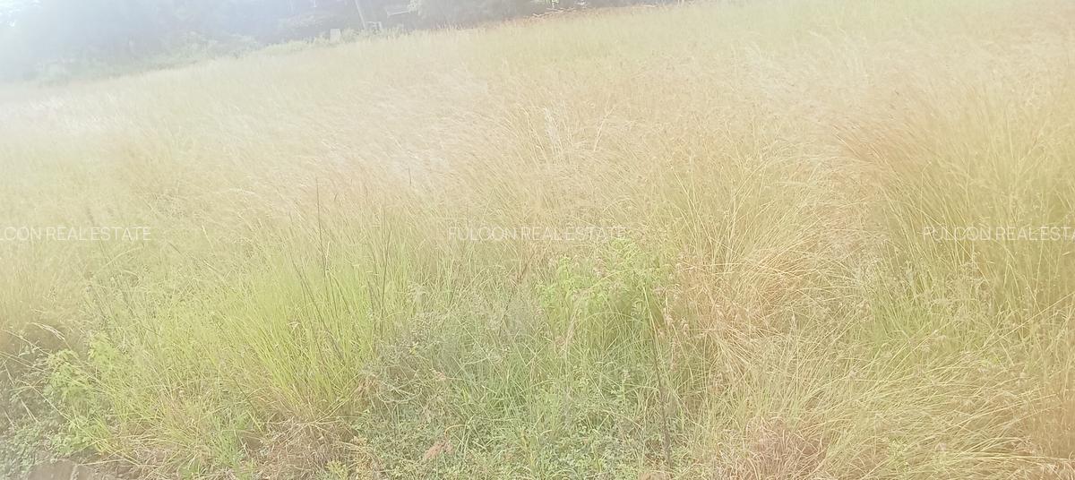 Land in Karen - 7
