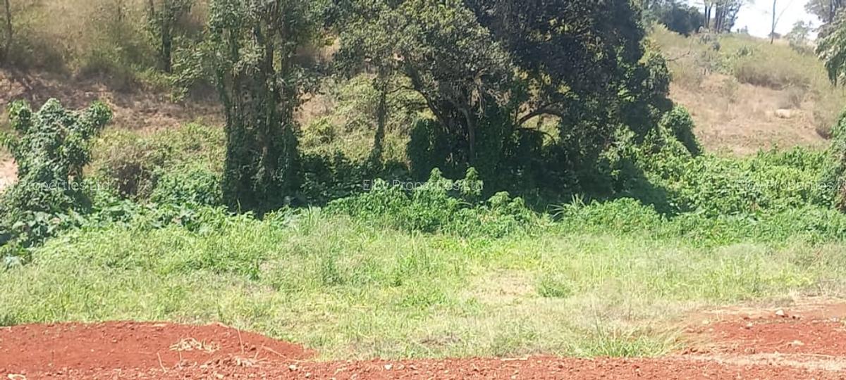 0.5 ac Residential Land at Muthithi - 11