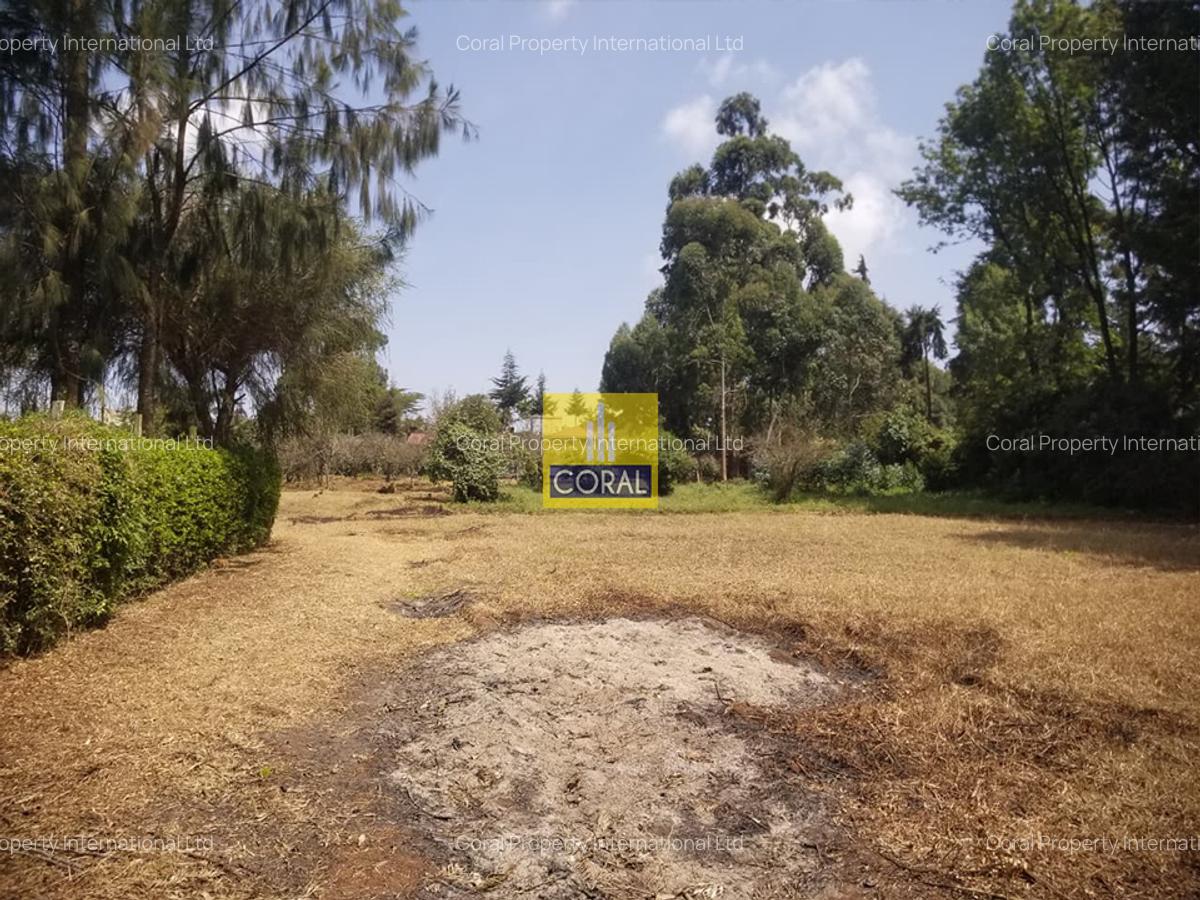 Land in Limuru Town - 3