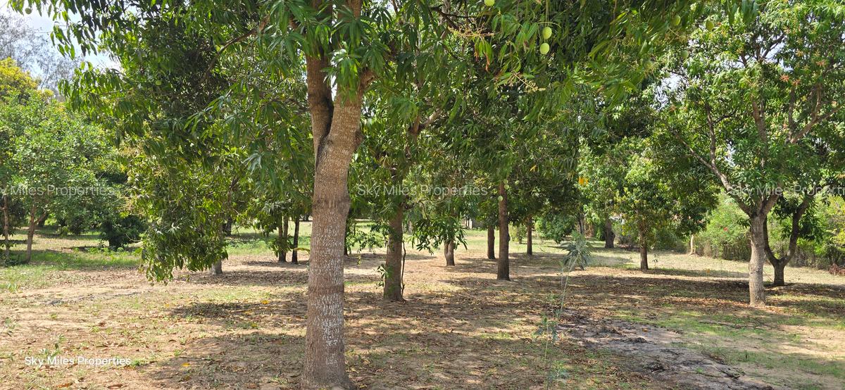 6 ac Land at Mtwapa - 1
