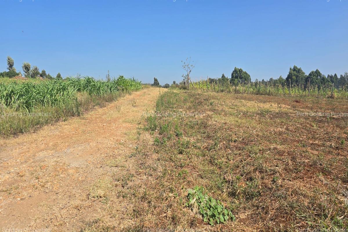 0.49 ac Residential Land in Runda - 2