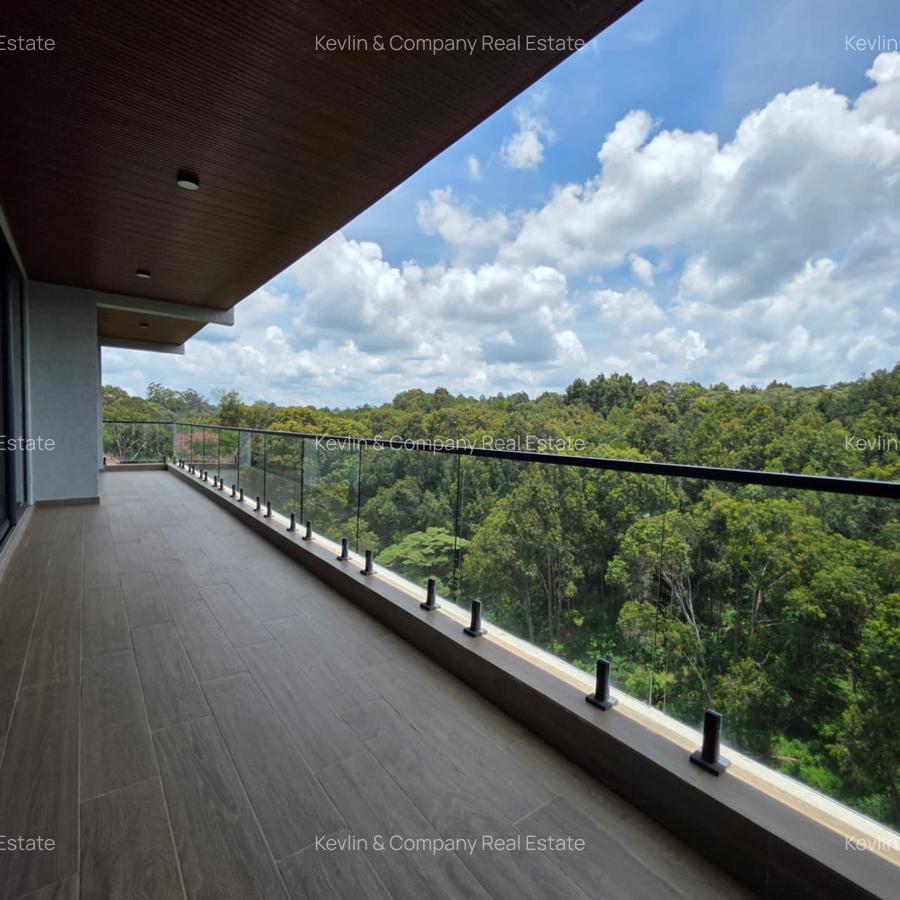 4 Bed Apartment with En Suite in Spring Valley - 1