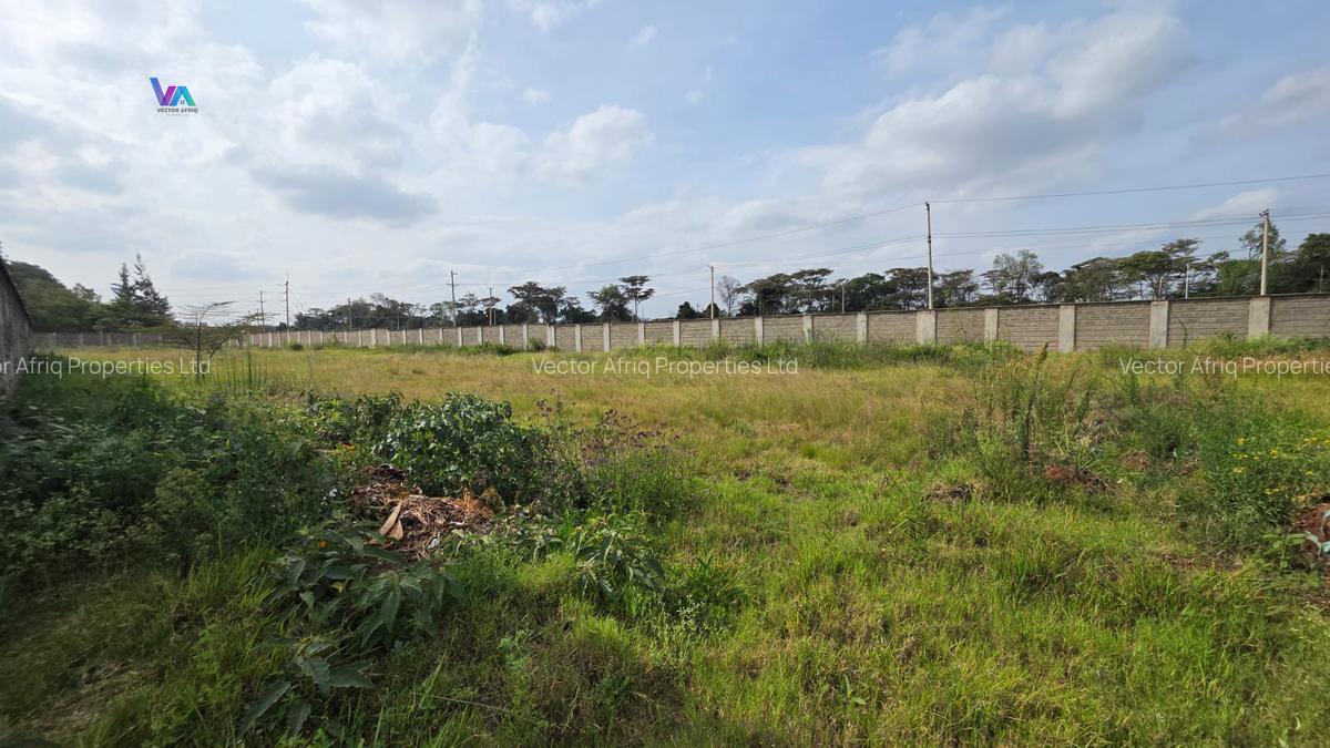Land in Karen - 1
