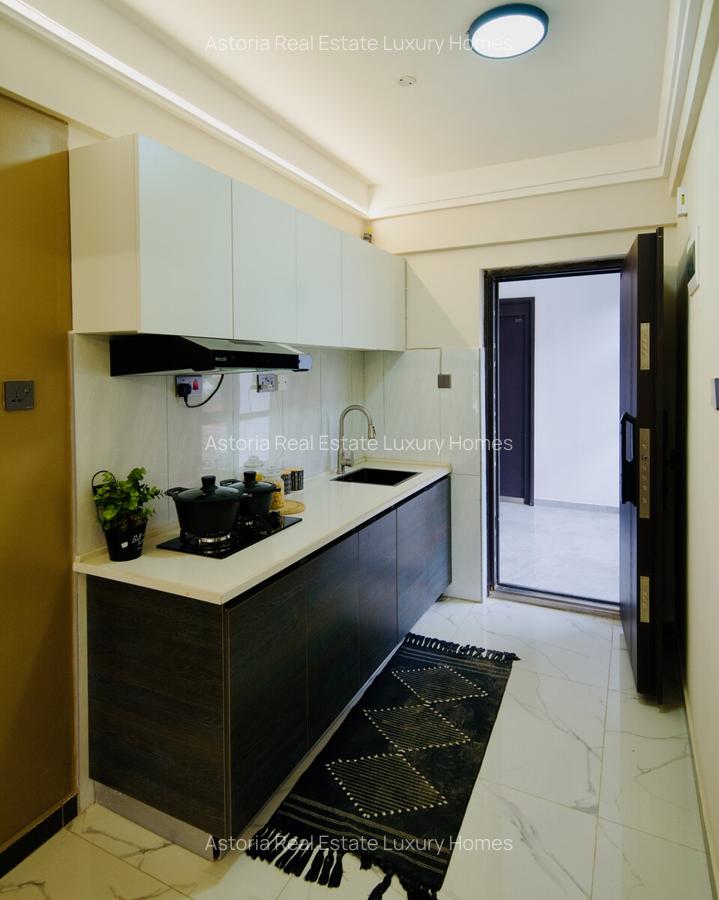 Studio Apartment with En Suite at 2026-423 0 Studio - 13