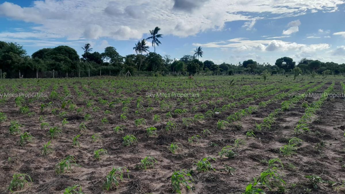 13 ac Land at Majaoni - 14
