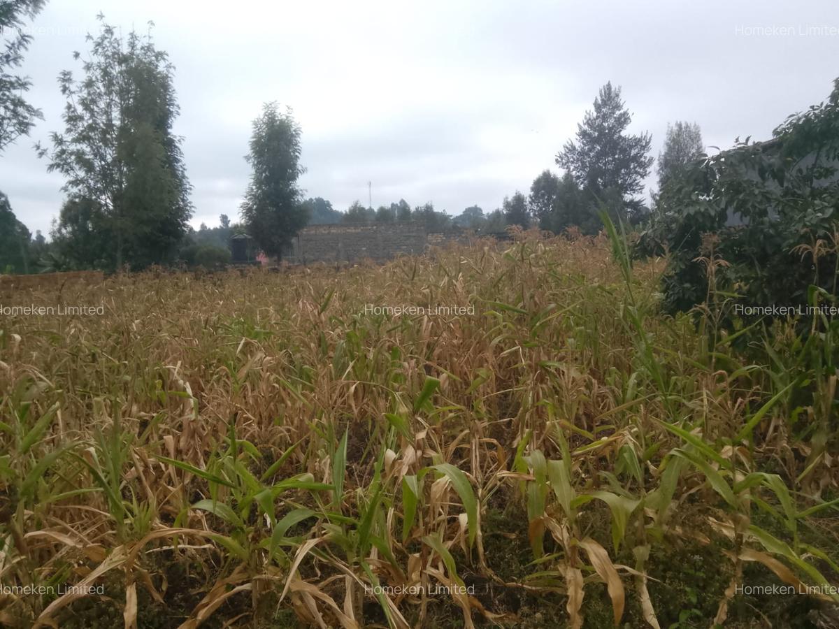 0.10 ha Land at Olkeri - 2