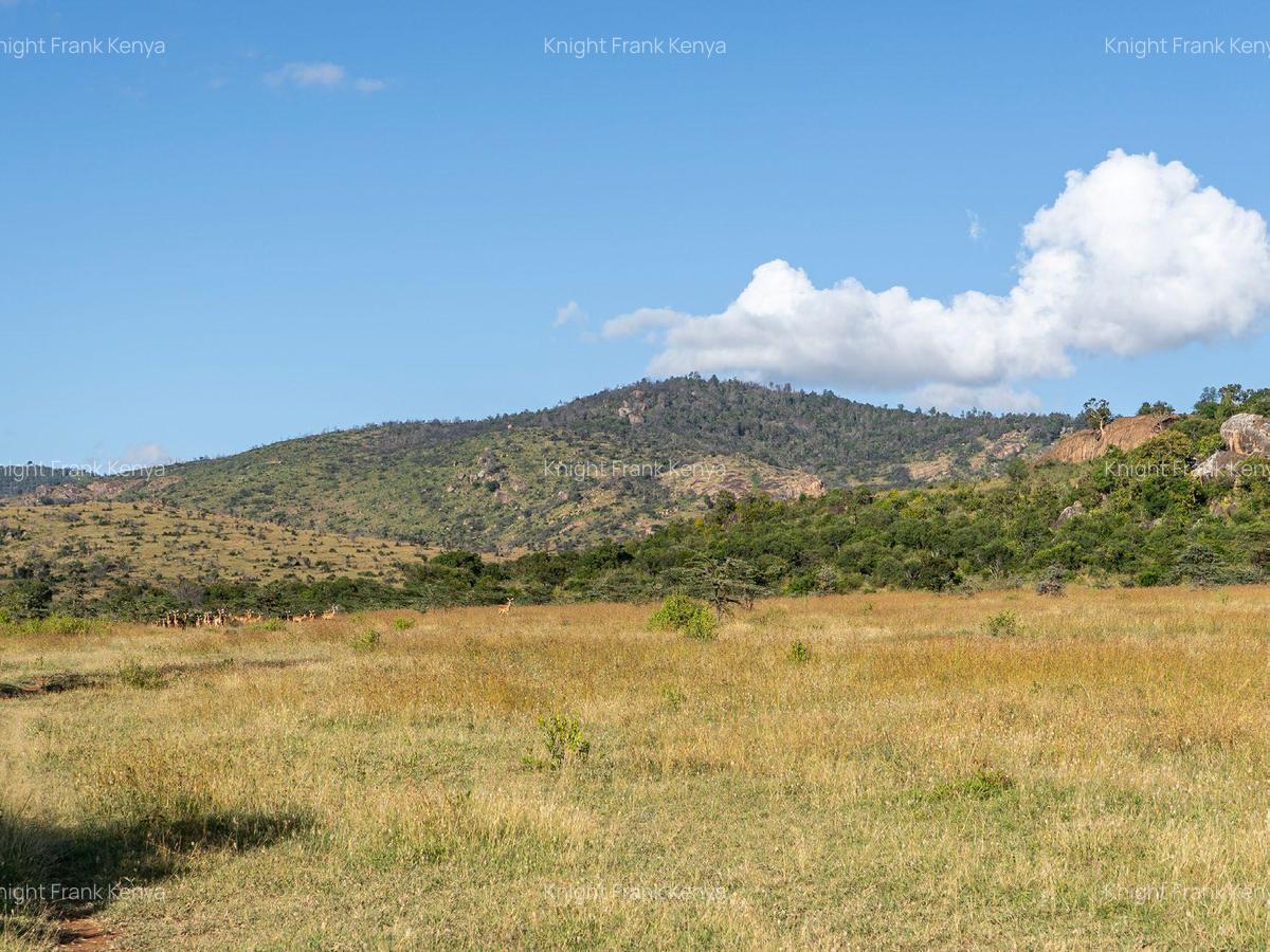 100 ac Land at Lolldaiga Valley - 4