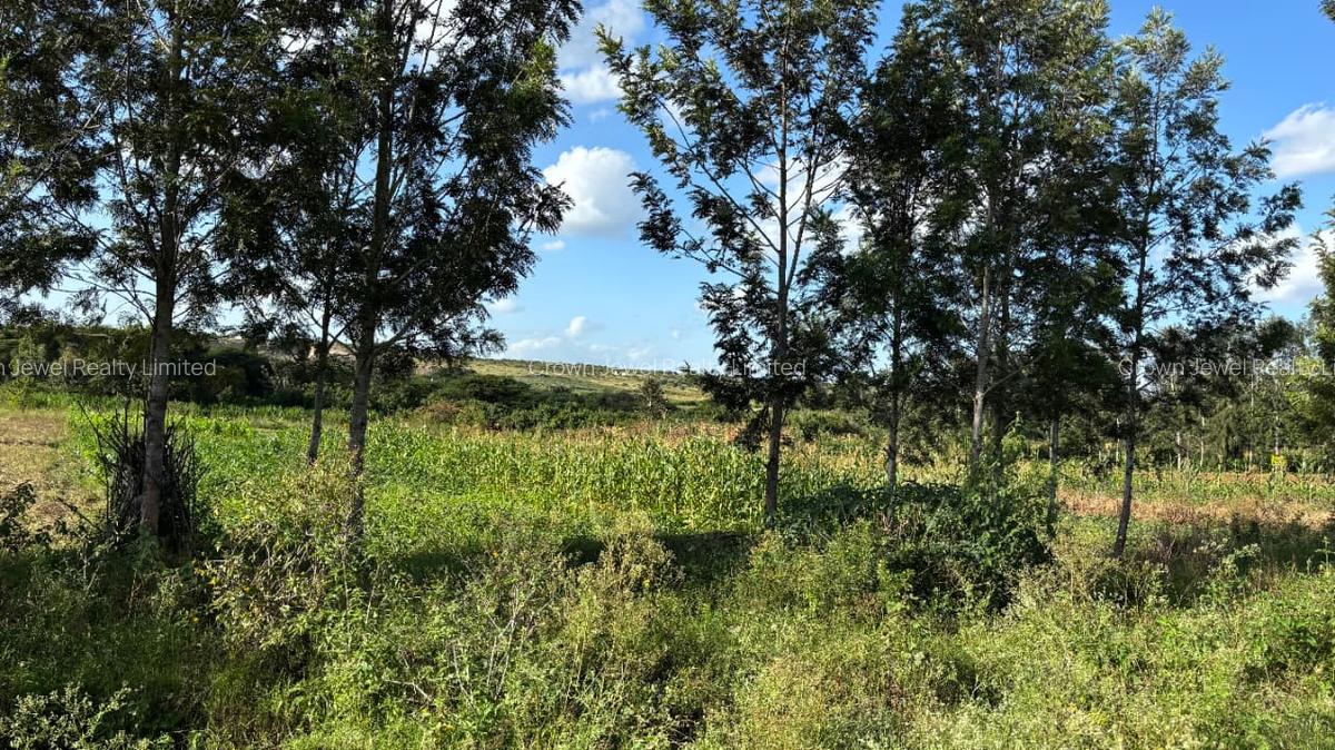 Land in Juja - 8