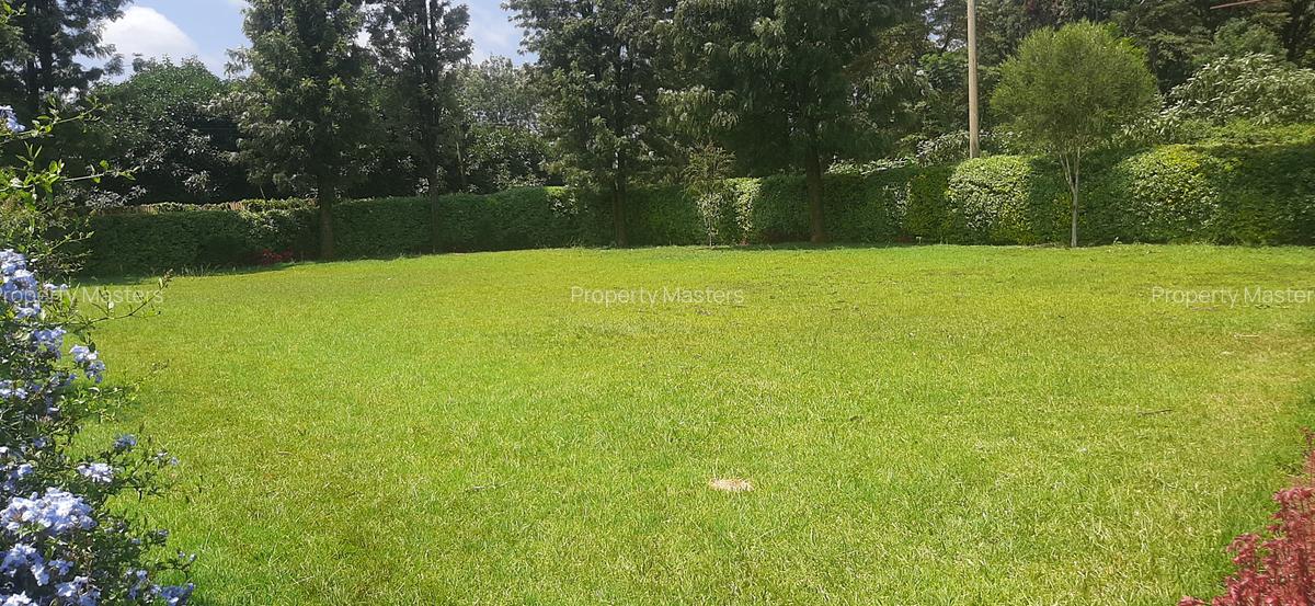 3 Bed House with En Suite at Tigoni Road - 2