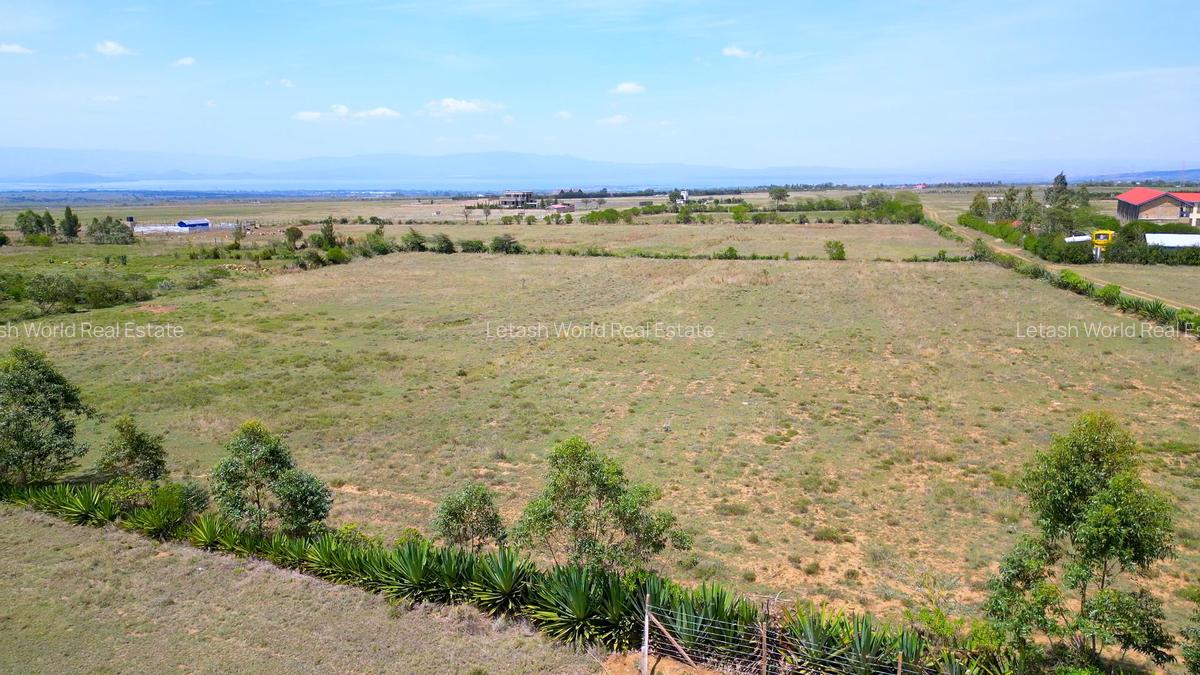 Residential Land in Naivasha - 6