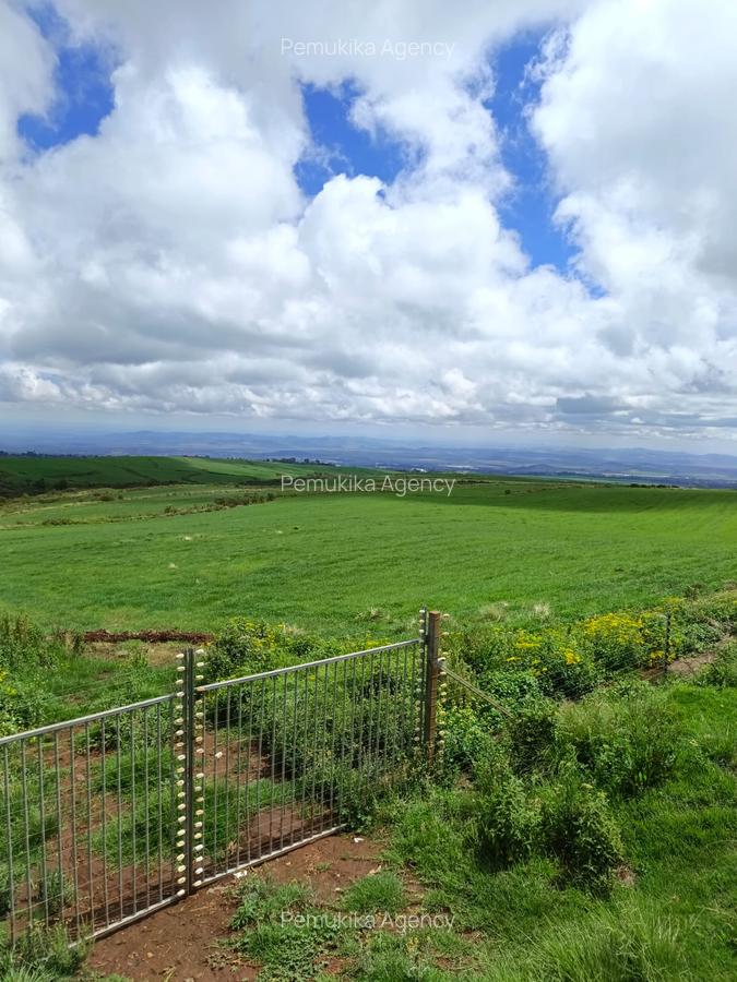 314 ac Land at Timau - 9