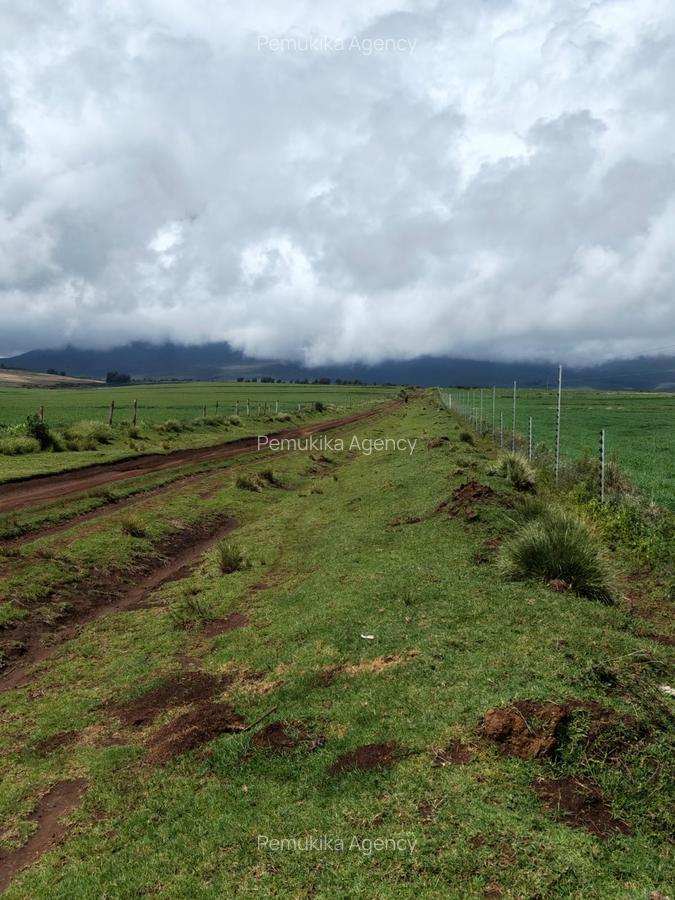 314 ac Land at Timau - 16