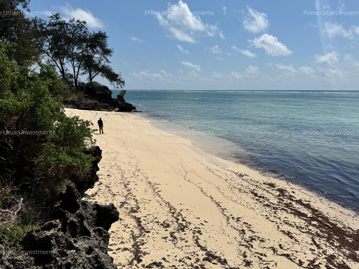 73.6 ac Land at Vipingo Kuruwitu Beach - 20