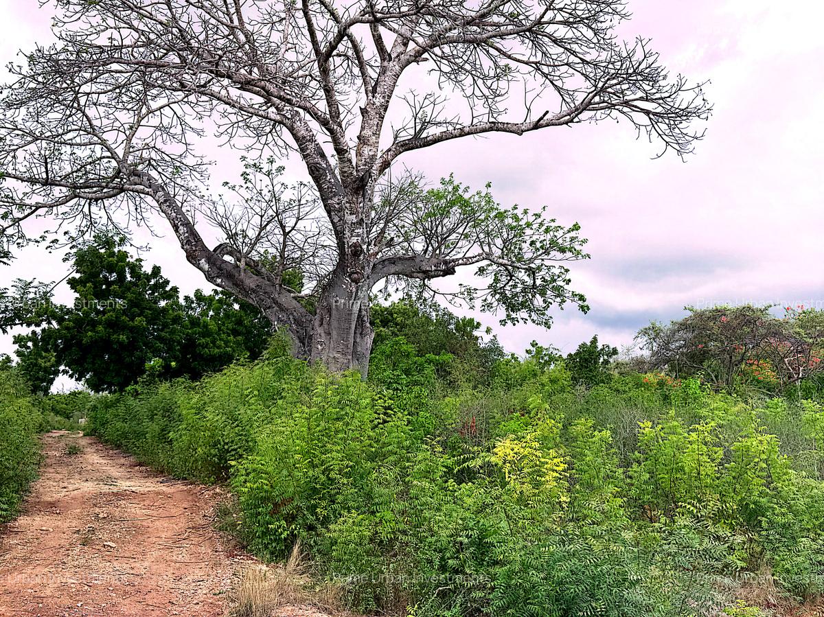 4,026 m² Land at Vipingo Kuruwitu - 13