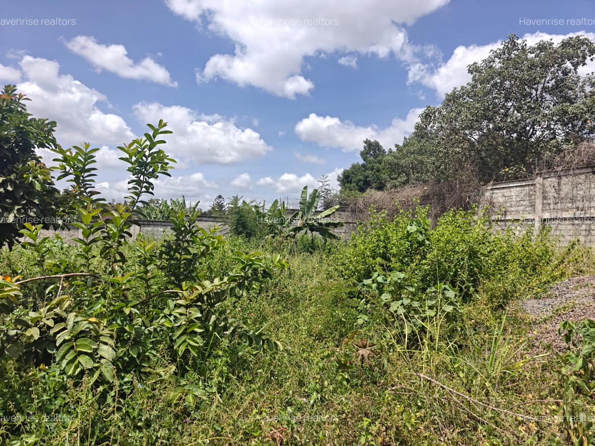 Land at Runda - 2