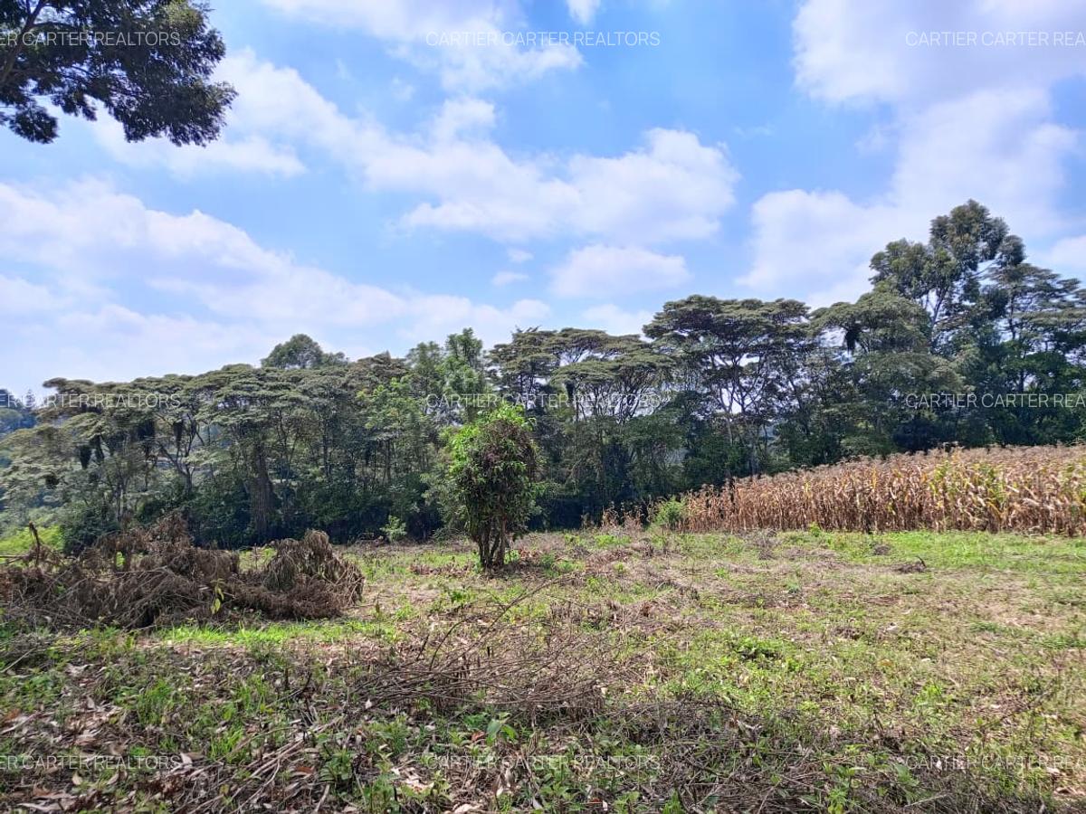 Land in Karen - 4