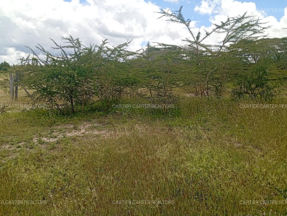 0.125 ac Land at Kyumvi Junction - 7