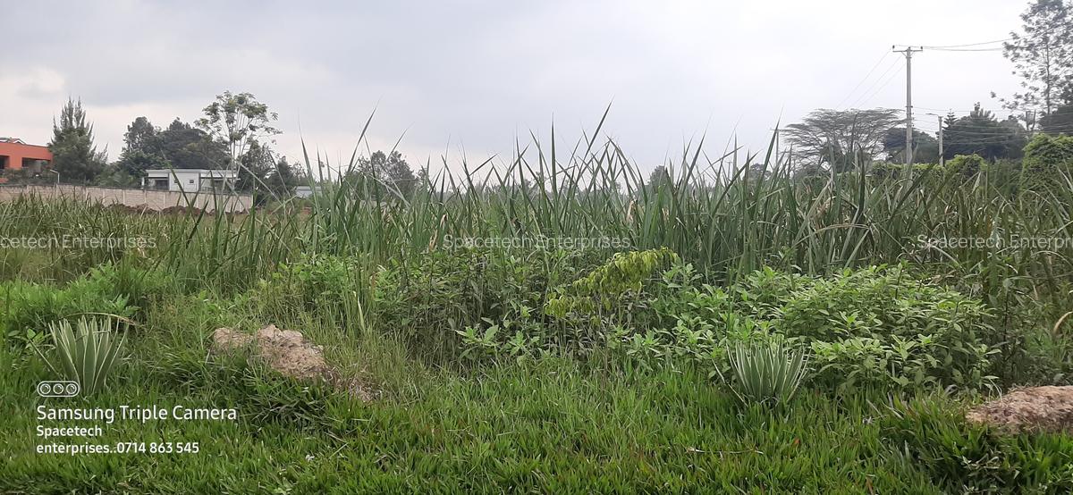 Land in Runda - 12