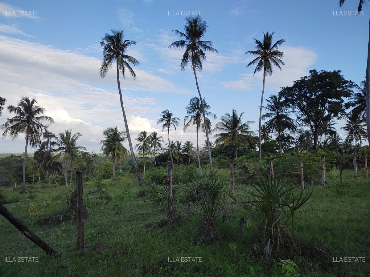 1,450 ac Land at Mabokoni - 8