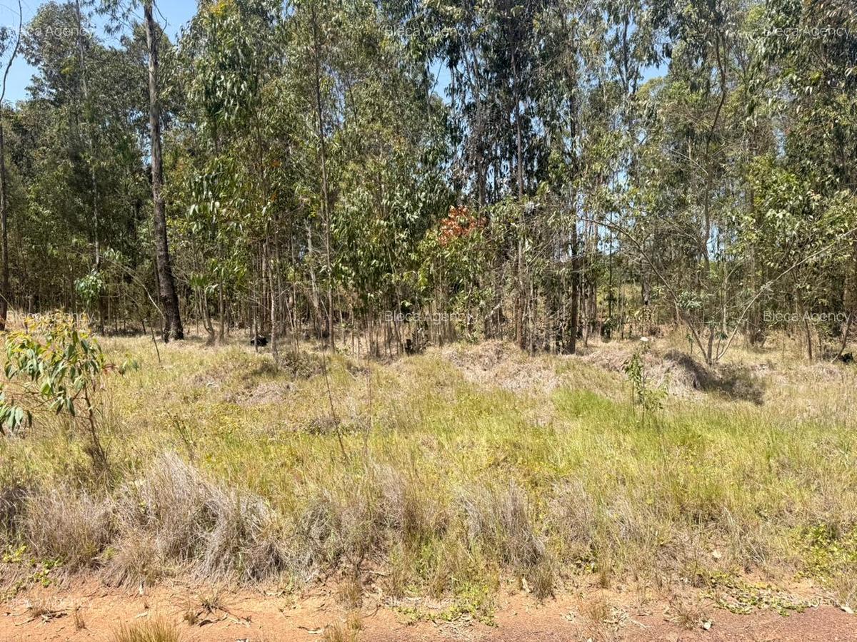 500 m² Land at Ruiru-Githunguri Road - 14