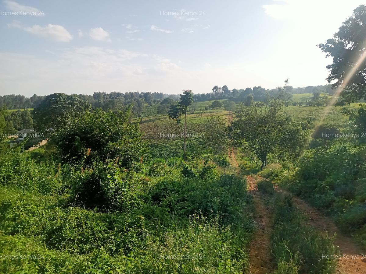 Land in Tigoni - 1