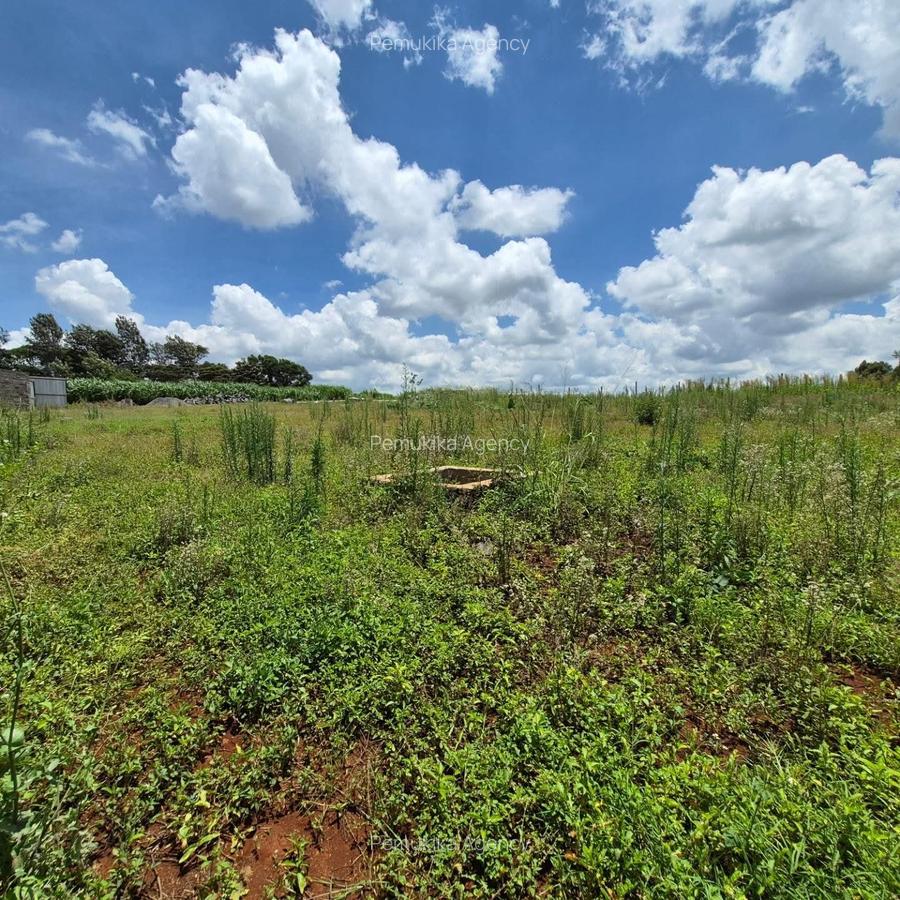 Residential Land in Runda - 6